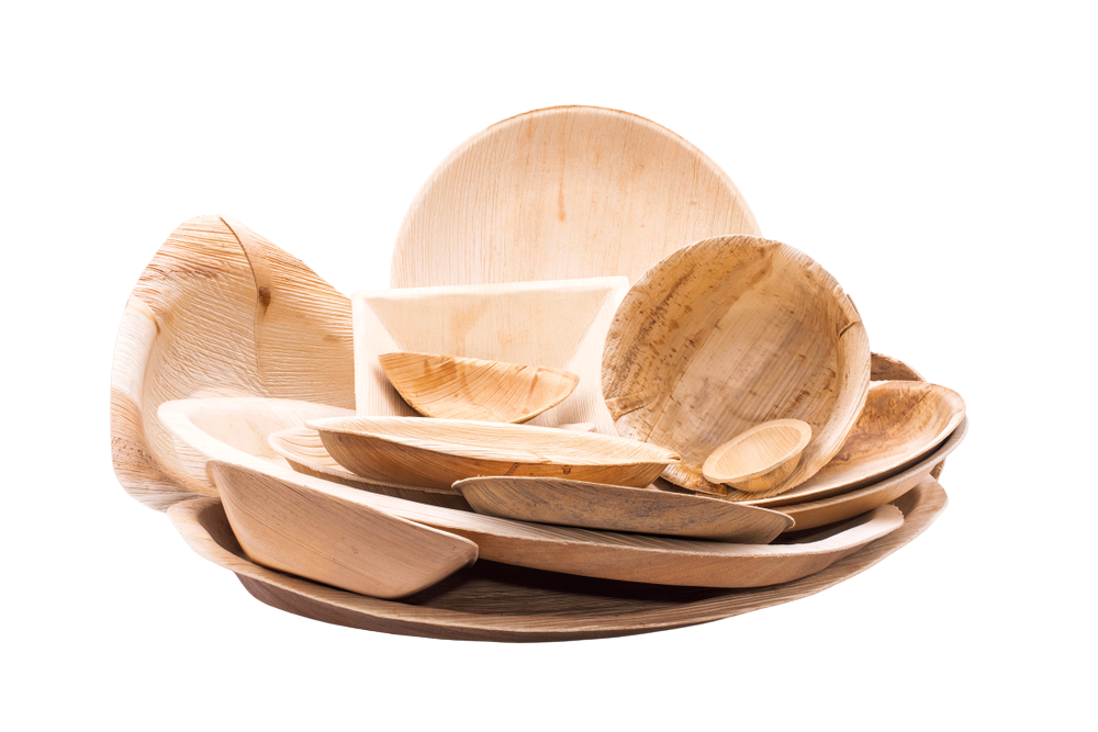 Palm Leaf Plates 2