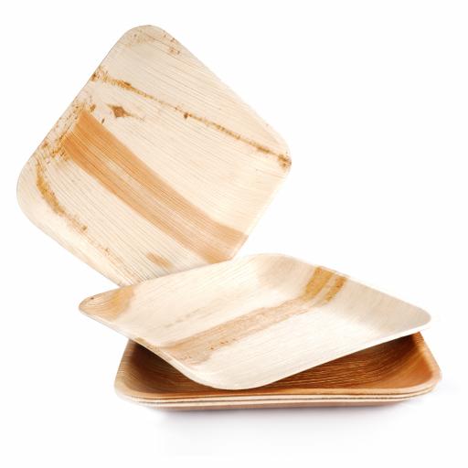 Palm Leaf Plate